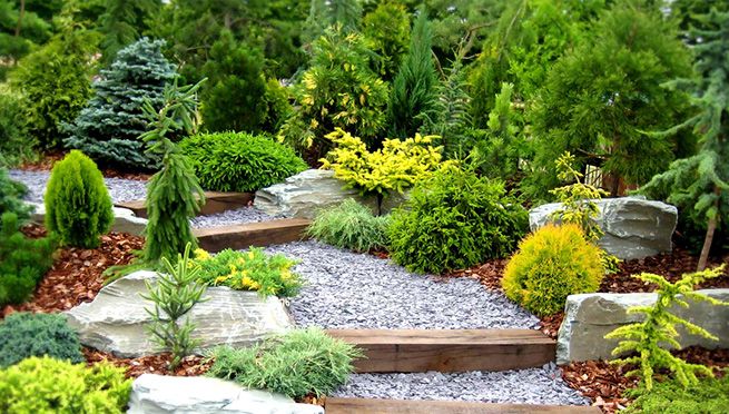 Арина Белостоцкая Арина Белостоцкая