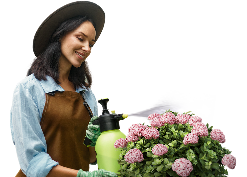 Новые дизайнерские решения в благоустройстве участка