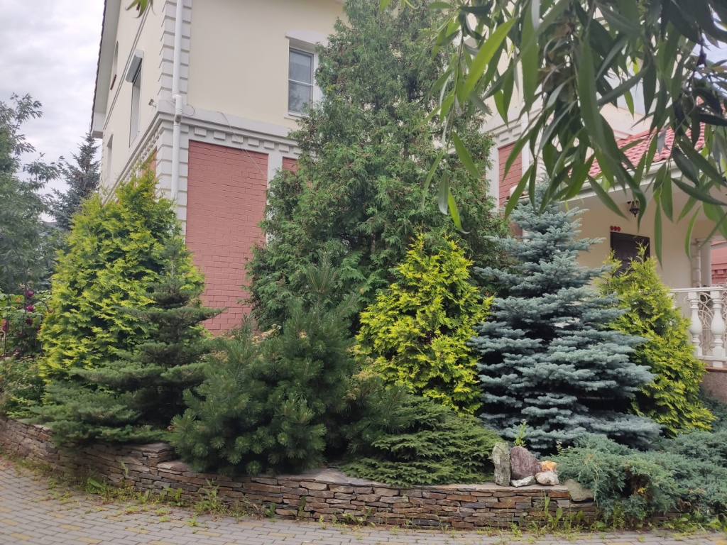 ландшафтное проектирование от компании Крупномер